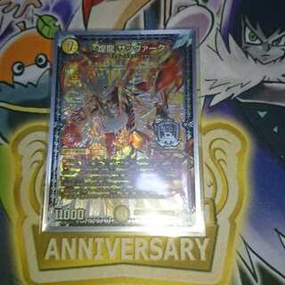 煌龍 サッヴァーク