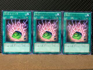 【ぽぽたん】遊戯王 7350 強欲なカケラ 3枚 レア