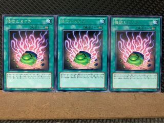 【ぽぽたん】遊戯王 7347 強欲なカケラ 3枚 レア