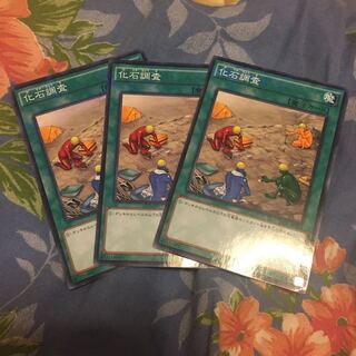 化石調査 パラレル ノーマル