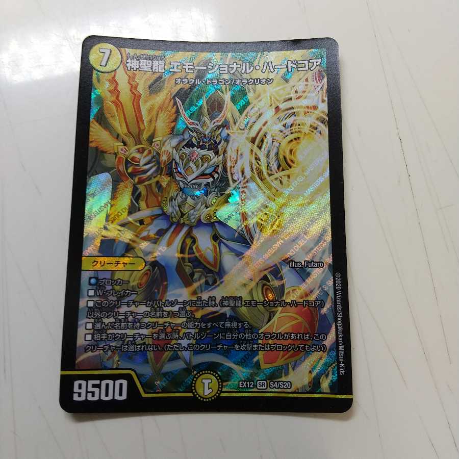 神聖龍 エモーショナル・ハードコア