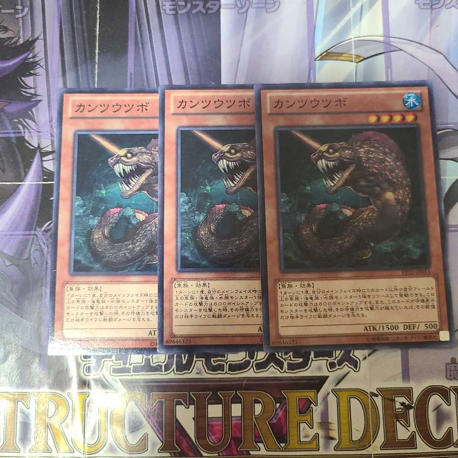 カンツウツボ ノーマル 3枚