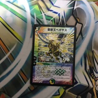 ボロボロの聖獣王ペガサス