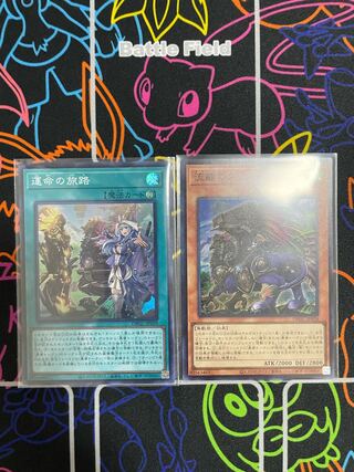 ☆遊戯王　運命の旅路　流離のグリフォンライダー☆