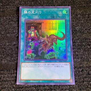 隣の芝刈り スーパーレア