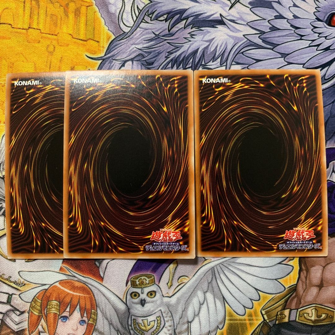 教導の騎士フルルドリス エクレシア