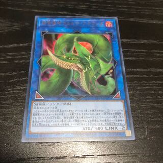 遊戯王　捕食植物ヴェルテ・アナコンダ