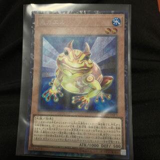 Swap Frog Collector's Rare