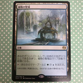 MTG カラデシュ　植物の聖域　日本語　裏面白欠け