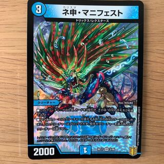 ネ申・マニフェスト