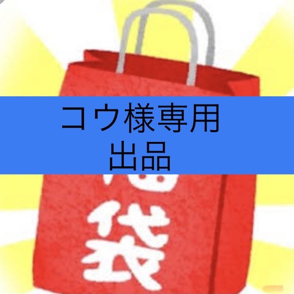 コウ様専用　100口