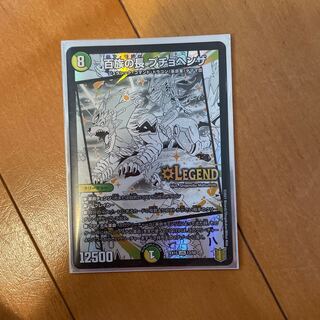 百族の長 プチョヘンザ LEG