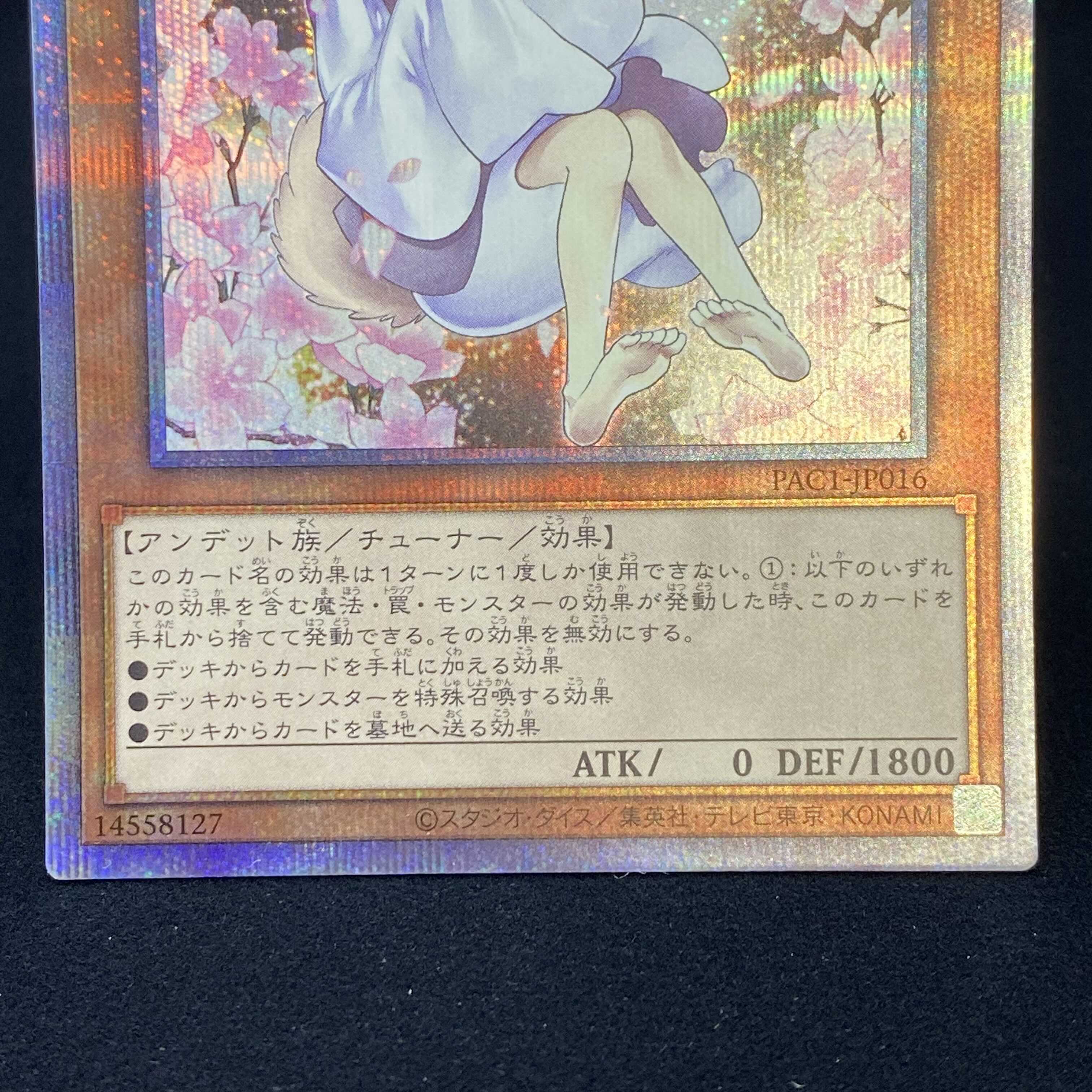 Ash Blossom & Joyous Spring (Umi external illustration) Prismatic Secret