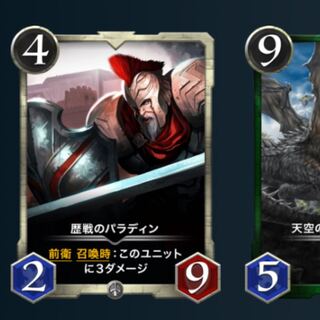 歴戦のパラディン lv.29