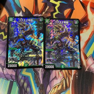 ブラキオ龍樹2枚セットはるさん専用