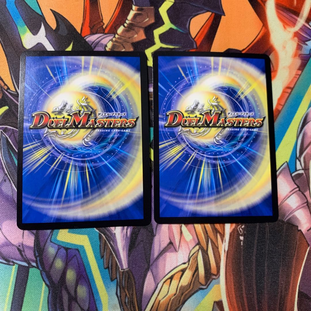 ブラキオ龍樹2枚セットはるさん専用