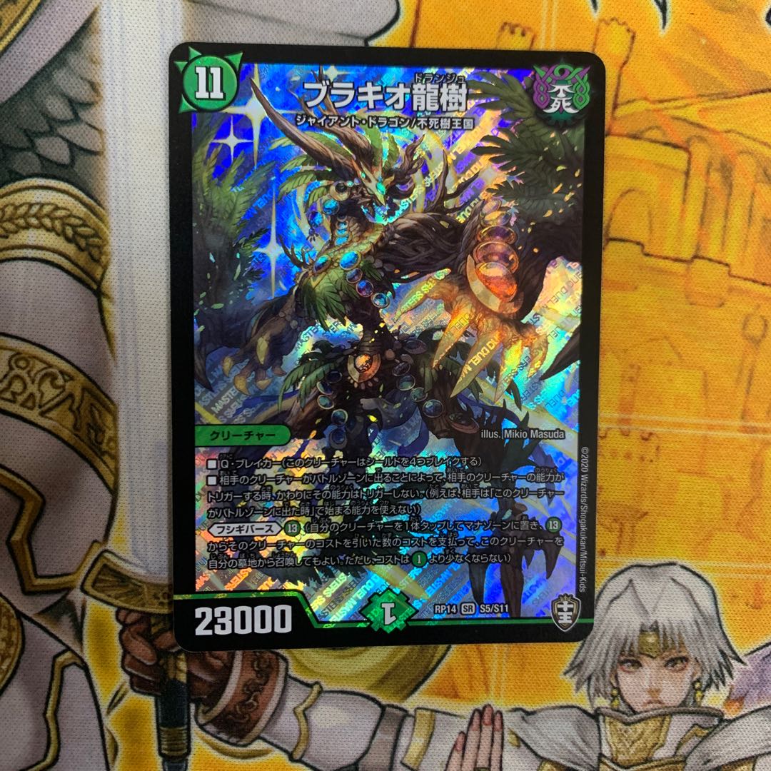 ブラキオ龍樹2枚セットはるさん専用