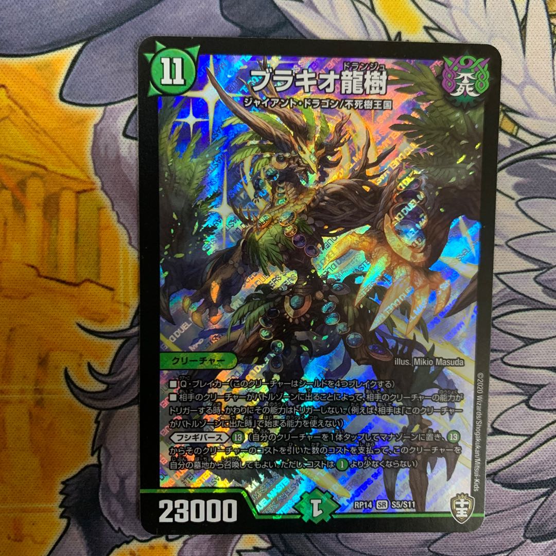 ブラキオ龍樹2枚セットはるさん専用