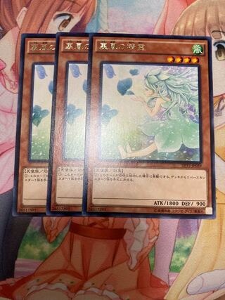 Spirit of the Fall Wind Rare 3