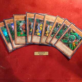 レッド・ガジェット　イエロー・ガジェット　グリーン・ガジェット　各3枚