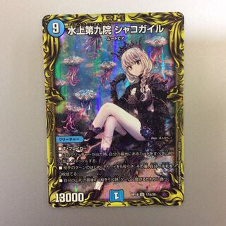 (Beautiful) Waterjo Ninth Institute Shakogile (20th Rare Spec.)