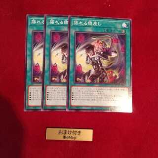 揺れる眼差し ノーマル　他オーダー