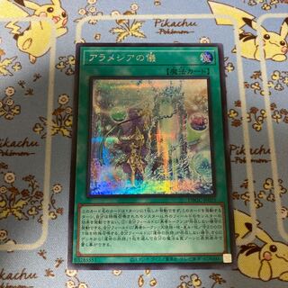 アラメシアの儀 シークレット