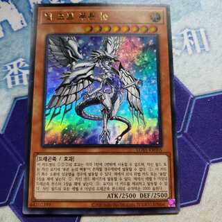 深淵の青眼龍韓国