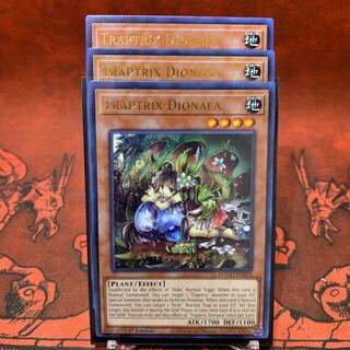 遊戯王【英語版】ティオの蟲惑魔 ゴールドレターレア 3枚セット