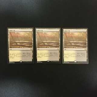 湿地の干潟 [MM3] 日本語 SP 3枚