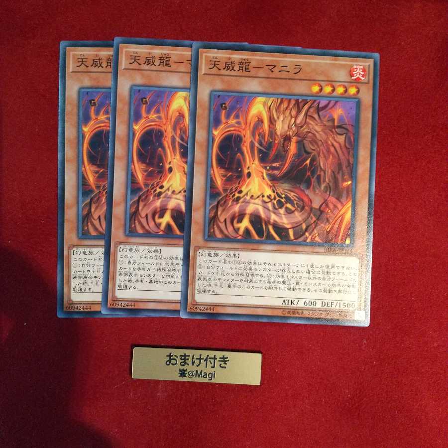 天威龍-マニラ ノーマル