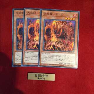 天威龍-マニラ ノーマル