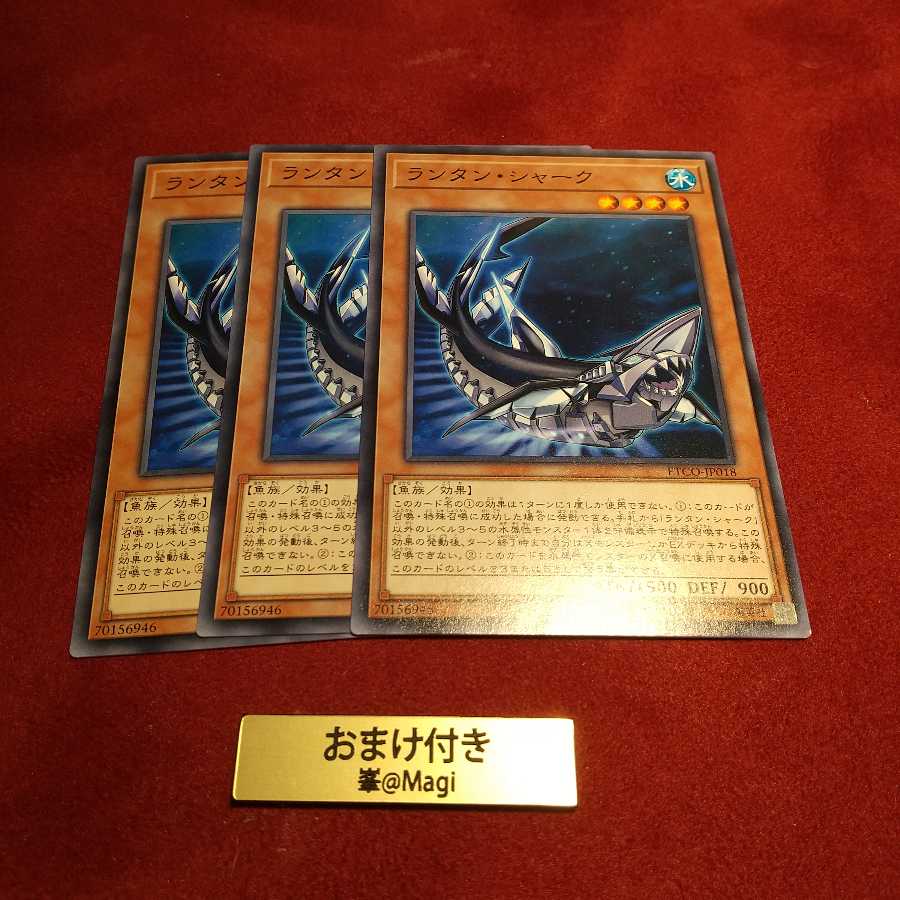 ランタン・シャーク ノーマル