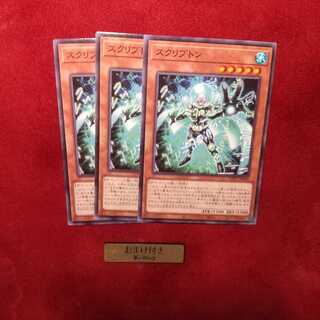 スクリプトン ノーマル 1枚