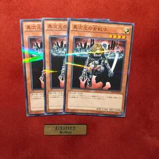 異次元の女戦士 パラレル ノーマル