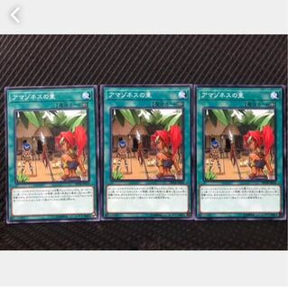 【ぽぽたん】遊戯王 281 アマゾネスの里 3枚 ノーマル