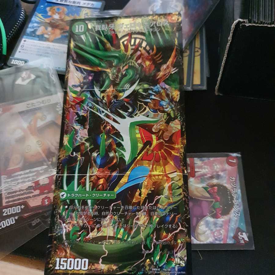 こた様専用 1枚