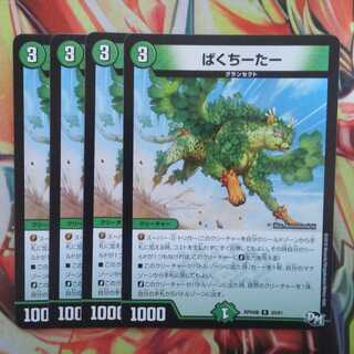 ぱくちーたー 四枚セット