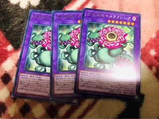 キメラフレシア