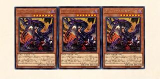 オーバーテクス・ゴアトルス