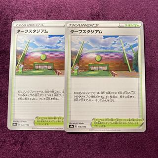 ターフスタジアム 2枚