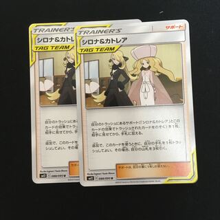 シロナ＆カトレア二枚セット