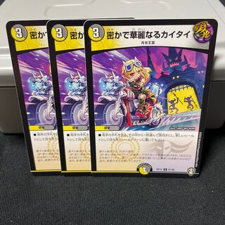 密かで華麗なるカイタイ C