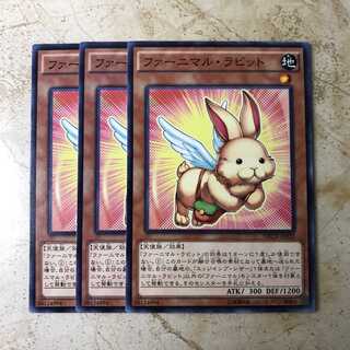 ファーニマル・ラビット　ノーマル（3枚）