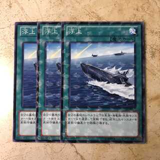 浮上　ノーマル1/Nパラ2（3枚）