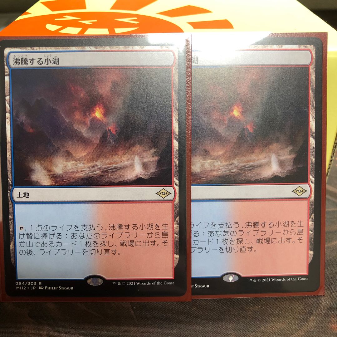 【専用出品】沸騰する小湖【日本語２枚セット】