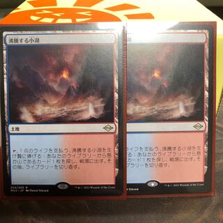 【専用出品】沸騰する小湖【日本語２枚セット】