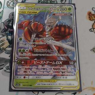 フェローチェ＆マッシブーンGX