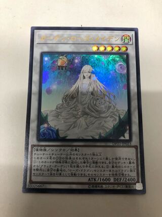 ガーデン・ローズ・メイデン