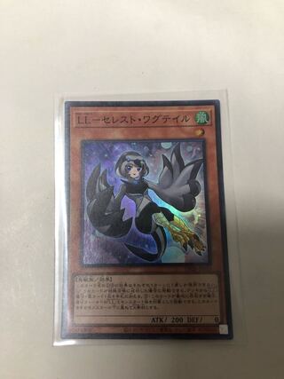 LL-セレスト・ワグテイル